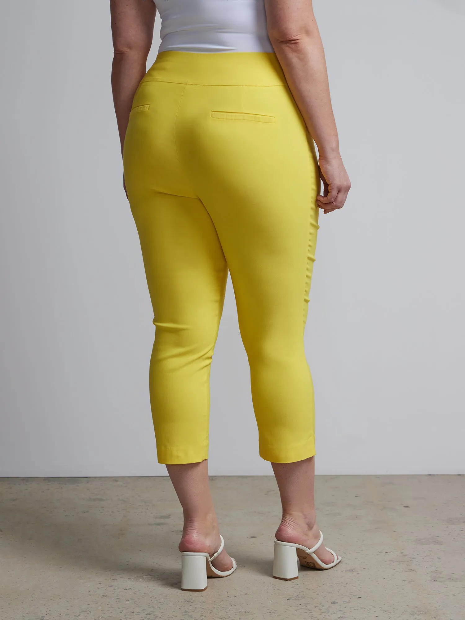 Plus Whitney High Rise Pull-On Capri Pant